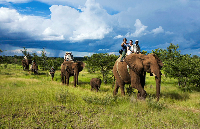 Addo Elephant National Park Activities
