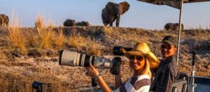 Photographic Safaris chobe