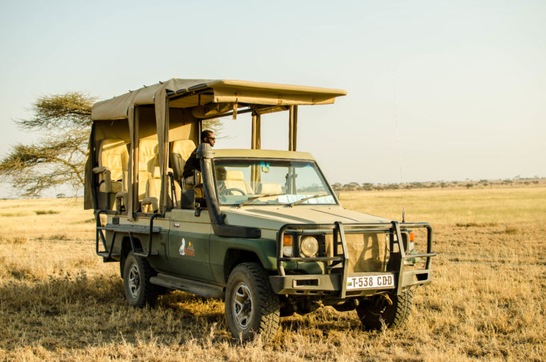 Serengeti National Park Game drives