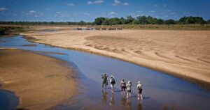 South Luangwa National Park2