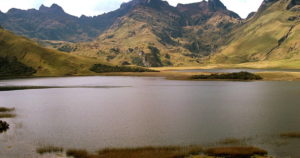 Comoé National Park cover