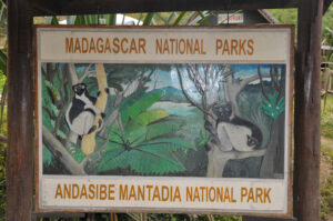 Andasibe-Mantadia National Park1