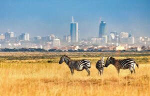 Nairobi National Park1