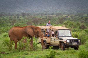 Samburu National Reserve2