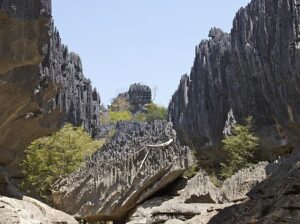 Tsingy de Namoroka Strict Nature Reserve