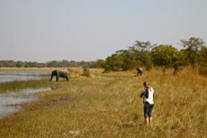 Kasungu National Park2