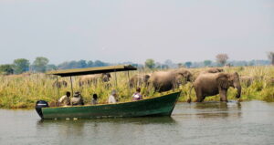 mvuu-camp-elephant-boat-safari