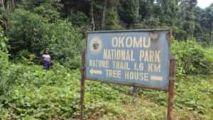 Okomu National Park1