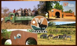 Yankari National Park1