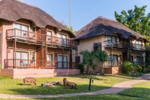 Chobe Marina Lodge4