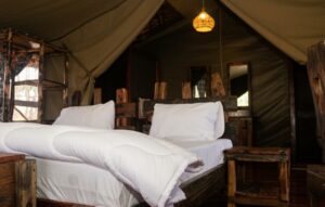 Nyerere Tented Camp2