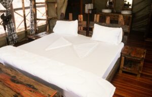 Nyerere Tented Camp4