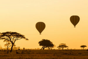 Which Safari Vacation is the Safest