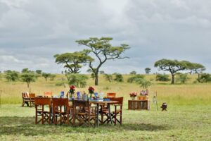 Pumzika Luxury Safari Camp dinning