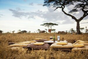 Pumzika Luxury Safari Camp dinning outside