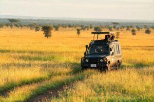 Pumzika Luxury Safari Camp safari tour