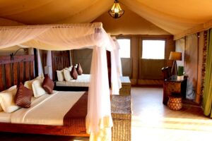 Serengeti Wildebeest Camp bedroom