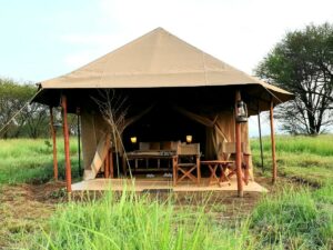 Zawadi Camp tent