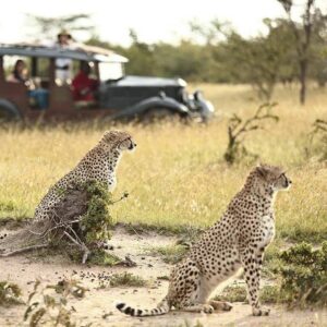 masai-mara-safari camp