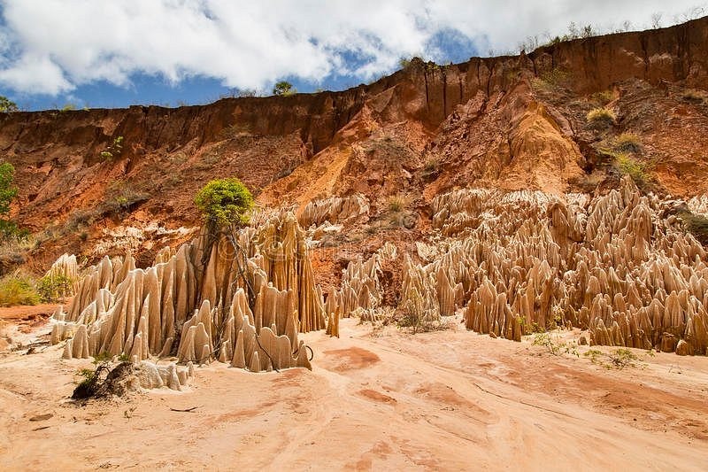 Ankarafantsika National Park - Madagascar