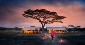 An Unforgettable Adventure Exploring Serengeti National Park