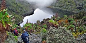 Exploring the Untamed Beauty of Rwenzori Mountains National Park title