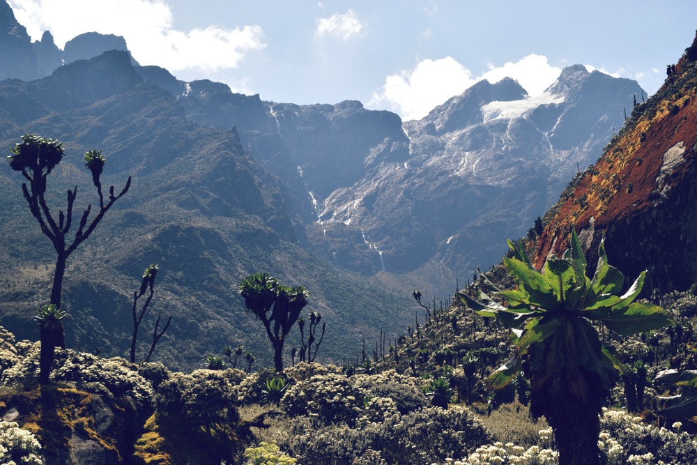 Exploring the Untamed Beauty of Rwenzori Mountains National Park2