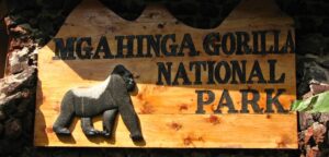 Mgahinga gorilla national park 1