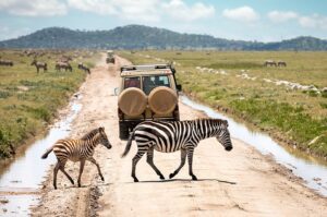Tanzania's National Parks