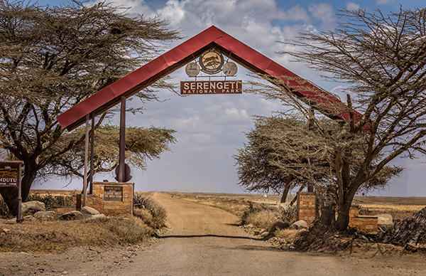 Serengeti National Park Beckons Adventurous Travelers