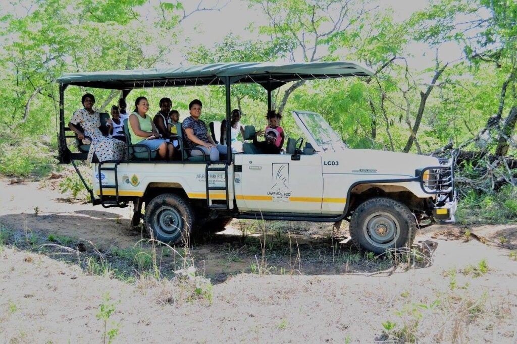 Guided Game Drives