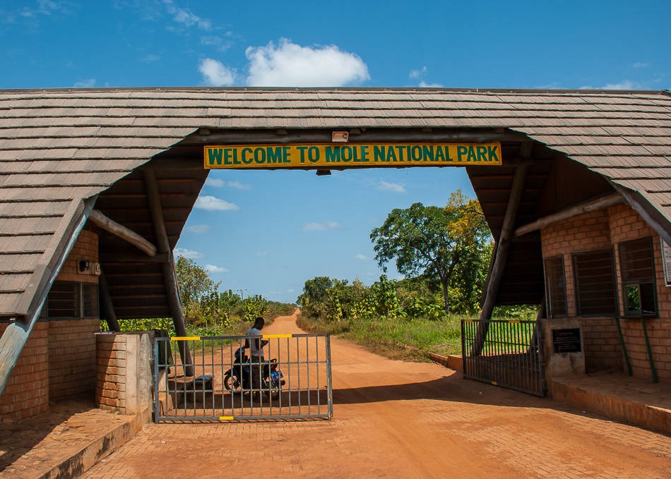Ghanas Mole National Park