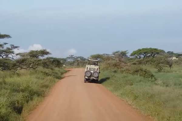 Serengeti safari enthusiasts
