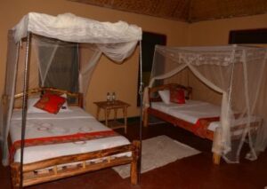 Irungu Forest Safari Lodge bedroom