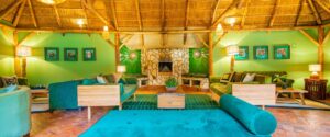 Primate Lodge livingroom