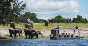Zambezi Queen river cruise outdoor